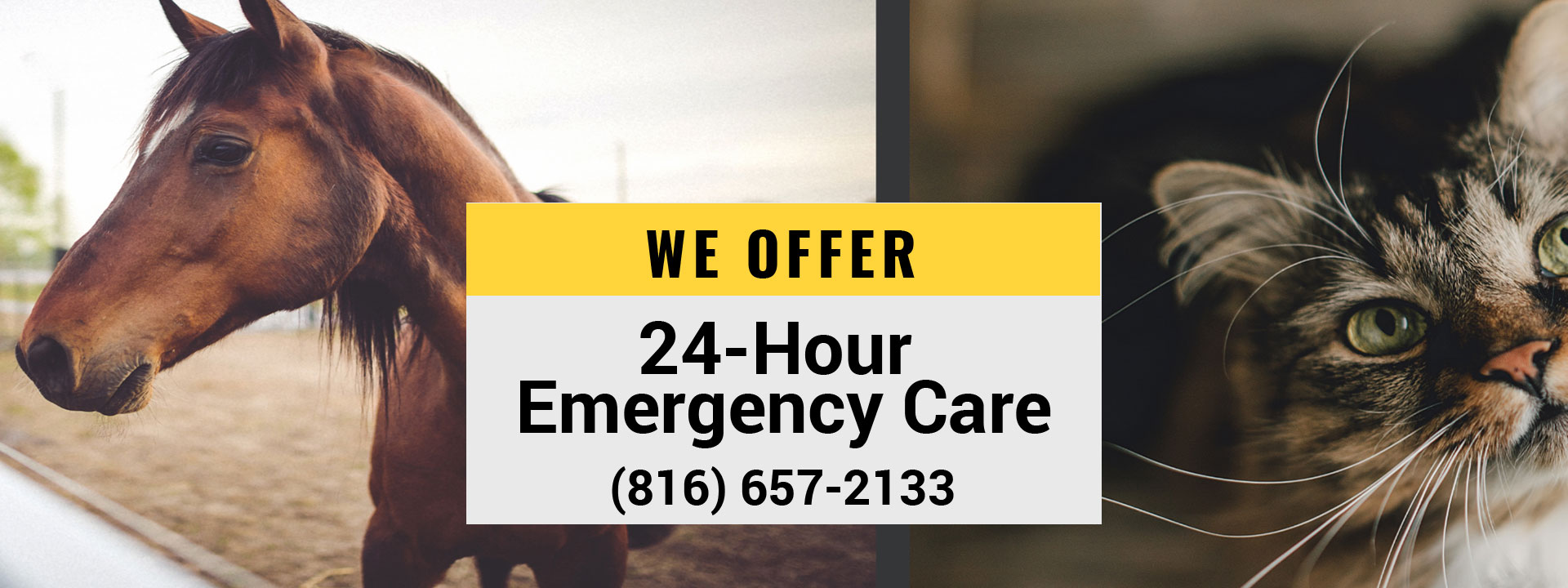 We offer 24-hour emergency care for your pets (816) 657-2133